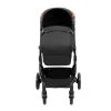 VEVOR Standard Baby Stroller, Infant Toddler Stroller with Bassinet, 3rd-Gear Adjustable Backrest & Foldable & Reversible Seat